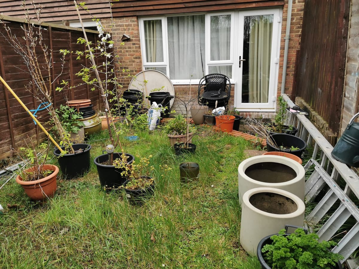 Before: Overgrown back yard to a sandstone patio with a slate path and gravel